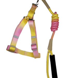 Arnés Multicolor Degradado Amarillo Rosado Talla M