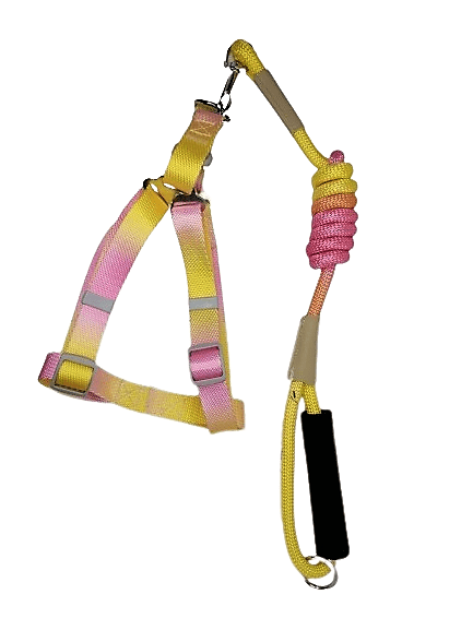 Arnés Multicolor Degradado Amarillo Rosado Talla M
