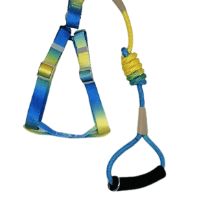 Arnés Multicolor Degradado Talla M