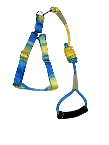 Arnés Multicolor Degradado Talla M