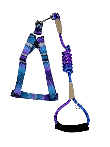Arnés Multicolor Degradado Azul Morado Talla M