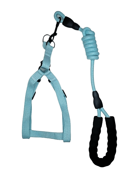 Arnés Celeste Pastel Escarchado Talla M
