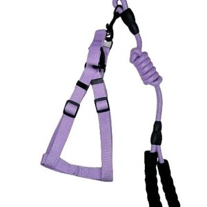 Arnés Morado Pastel Escarchado Talla L
