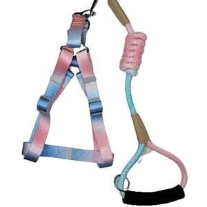 Arnés Multicolor Degradado Rosado Celeste Talla M