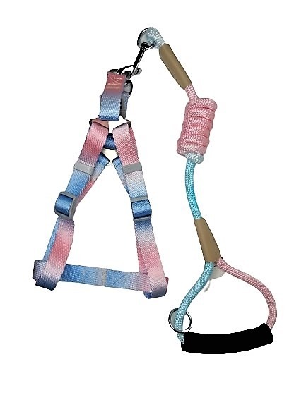Arnés Multicolor Degradado Rosado Celeste Talla M