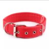 Collar Nylon Acolchado