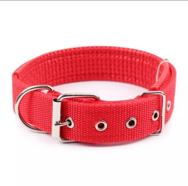 Collar Nylon Acolchado