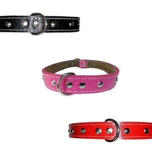 Collar Con Tachas Talla 3