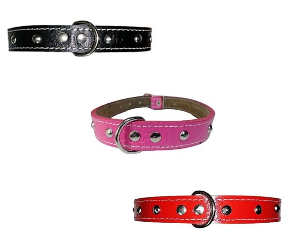 Collar Con Tachas Talla 3