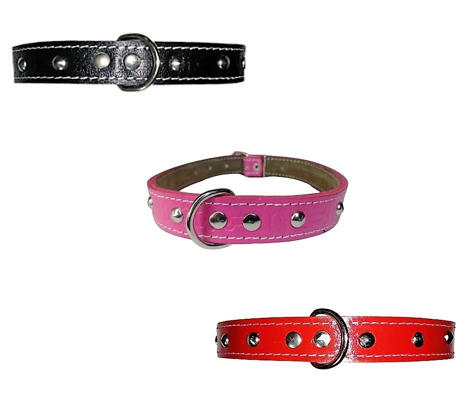 Collar Con Tachas Talla 3