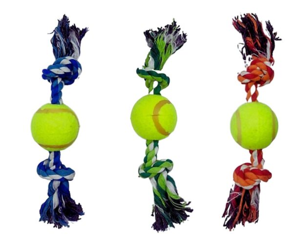 2 VELO (1) Juguete Soga 1 Pelota