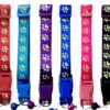Collar Nylon Huellas Luminosas 23-38cm