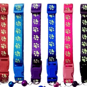Collar Nylon Huellas Luminosas 23-38cm