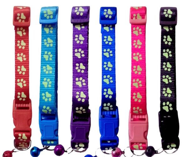 2 VELO Collar Nylon Huellas Luminosas 23-38cm