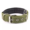 Collar Nylon Acolchado