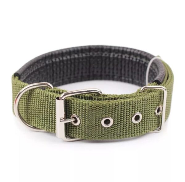 Collar Nylon Acolchado