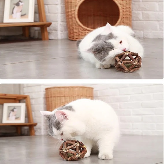 Juguete Silveriene Y Esfera Catnip