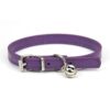 Collar Con Cascabel Importado Talla S 20-28 cm