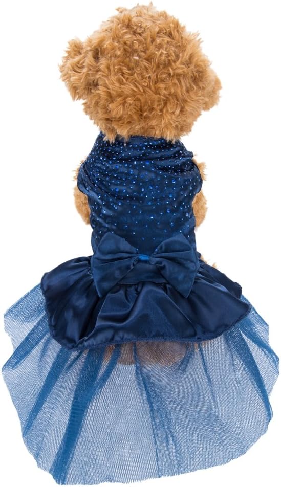 61XH8eLyXlL._AC_SL1000_ Vestido Princesa Azul