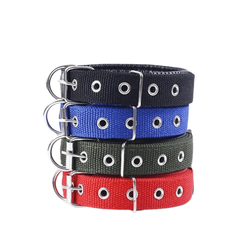 Collar Nylon Acolchado