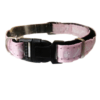 Collar Para Perritos