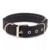 Collar Nylon Acolchado