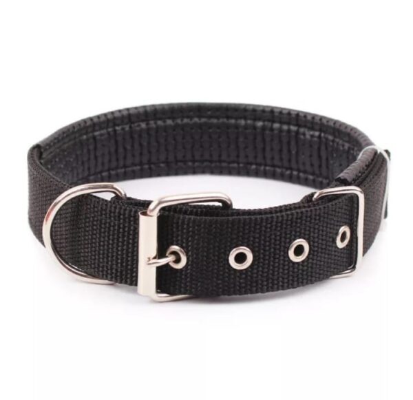Collar Nylon Acolchado