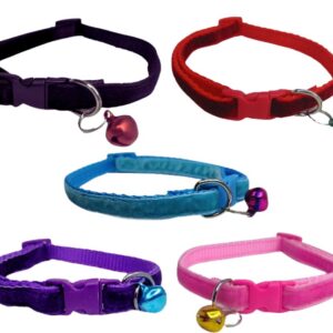 Collar Nylon Terciopelo 20-36cm