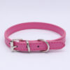 Collar Importado 27-33.5cm