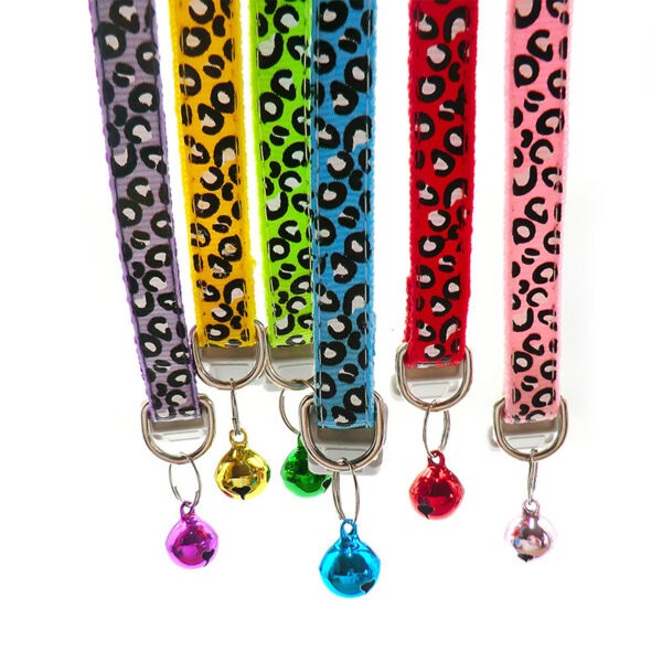 Collar Animal Print