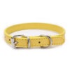 Collar Importado 27-33.5cm