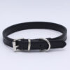 Collar Importado 27-33.5cm