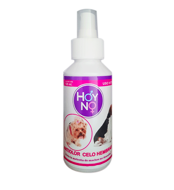 Hoy No 120ml