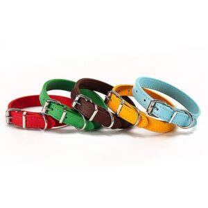 Collar Importado 27-33.5cm