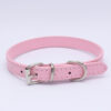 Collar Importado 27-33.5cm