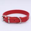 Collar Importado 27-33.5cm
