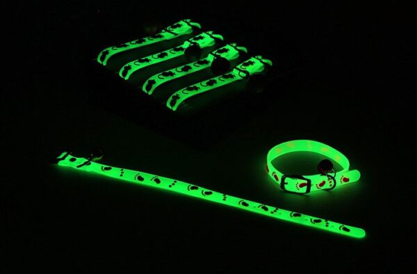 Collar Luminoso Ratón 18-26cm