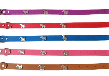 IMG_20230524_122127-removebg-preview Collar Con Aplicaciones De Perrito Talla M
