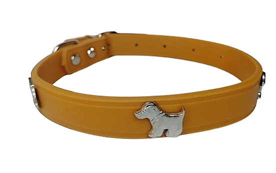 IMG_20230607_125023-removebg-preview Collar Con Aplicaciones De Perrito Talla M