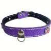 Collar De Cuero Con Aplicaciones Talla 2