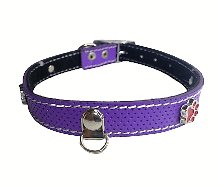 Collar De Cuero Con Aplicaciones Talla 2