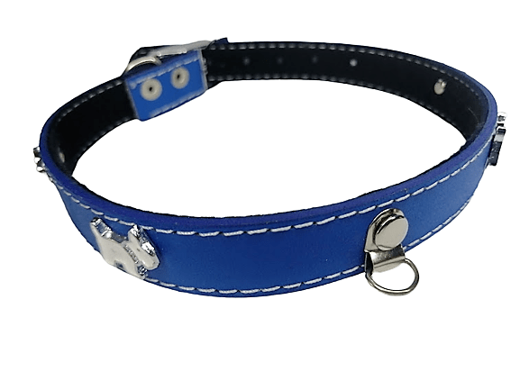 IMG_20230607_130503-removebg-preview Collar De Cuero Con Aplicaciones Talla 3