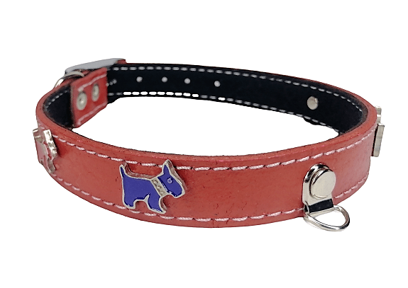IMG_20230607_130656-removebg-preview Collar De Cuero Con Aplicaciones Talla 3