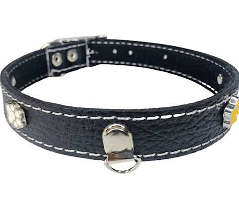 IMG_20230607_131005-removebg-preview Collar De Cuero Con Aplicaciones Talla 3