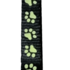 Collar Nylon Huellas Luminosas 23-38cm