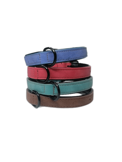 IMG_20230715_194801-removebg-preview Collar Para Perro Talla L