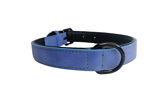 IMG_20230715_200601-removebg-preview Collar Para Perros Talla M