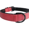 Collar Para Perros Talla M