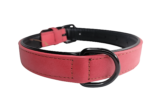 IMG_20230715_200744-removebg-preview (1) Collar Para Perros Talla M