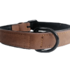 Collar Para Perros Talla M